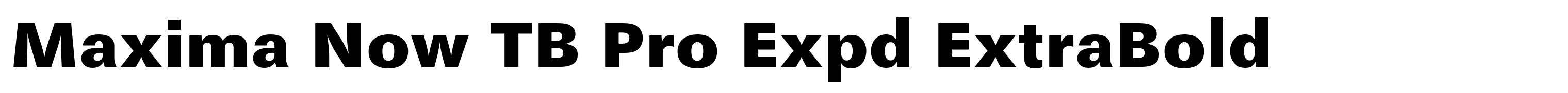 Maxima Now TB Pro Expd ExtraBold